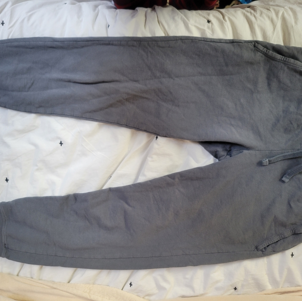 Women's American Giant Everyday Jogger, size medium, grey